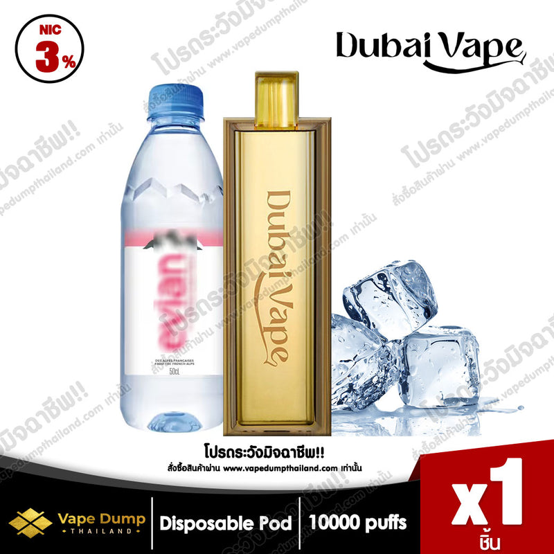 Dubai Vape Disposable pod 10000 Puffs