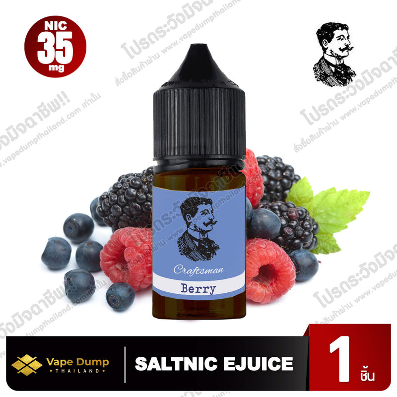 Craftsman Saltnic