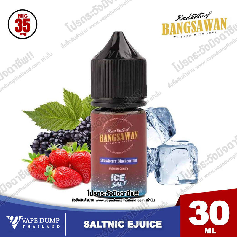 Bangsawan ICE Saltnic
