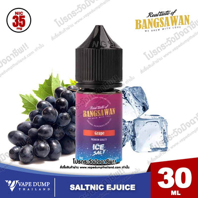 Bangsawan ICE Saltnic