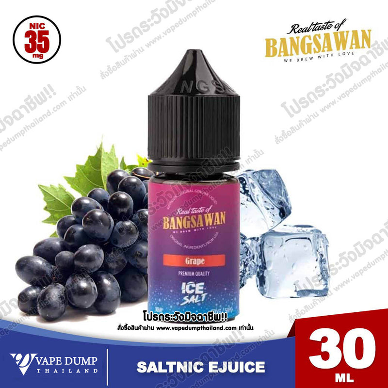 Bangsawan ICE Saltnic