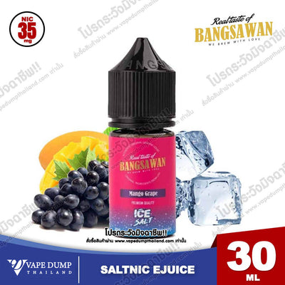 Bangsawan ICE Saltnic