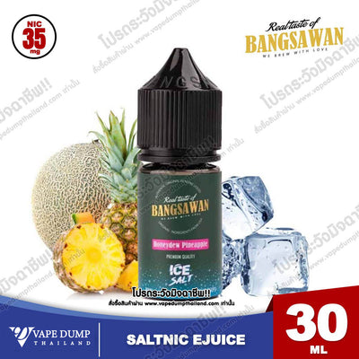 Bangsawan ICE Saltnic