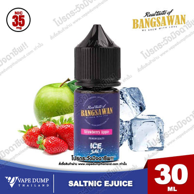 Bangsawan ICE Saltnic